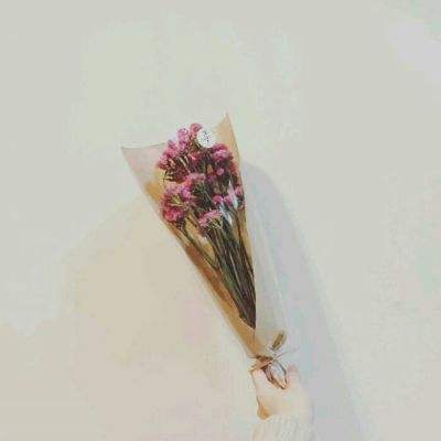 辉夜姬别传手游九游版下载