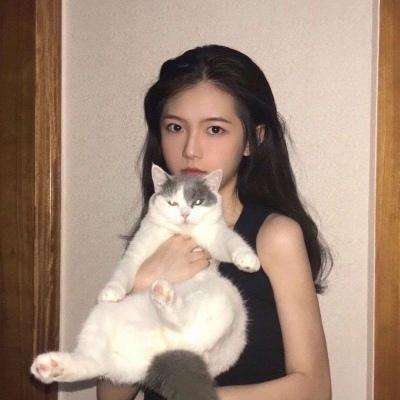 口袋妖怪百万进化手游下载